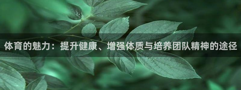 意昂2登录地址：体育的魅力：提升健康、增强体质与培养团队精神的途径