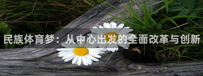 意昂电子有限公司：民族体育梦：从中心出发的全面改革与创新