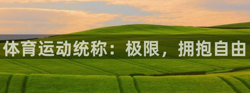 意昂官网：体育运动统称：极限，拥抱自由