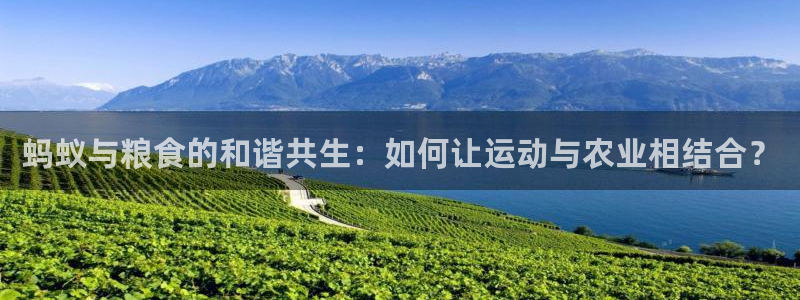 意昂3平台登录注册：蚂蚁与粮食的和谐共生：如何让运动与农业相结合？