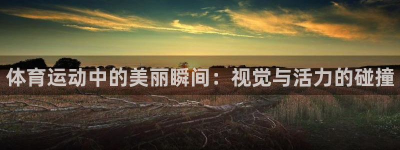 意昂体育官网登录：体育运动中的美丽瞬间：视觉与活力的碰撞