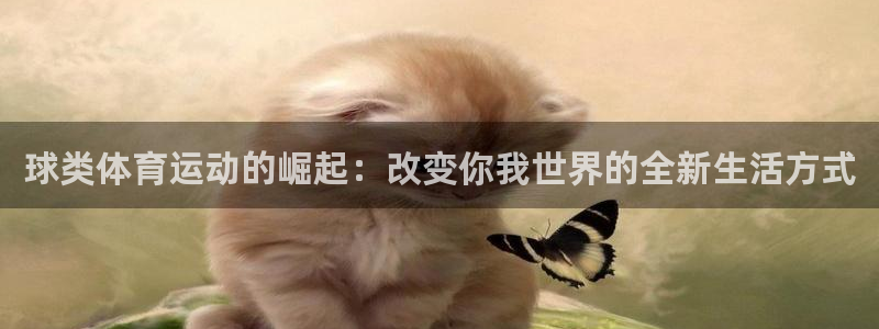意昂体育2：球类体育运动的崛起：改变你我世界的全新生活方式