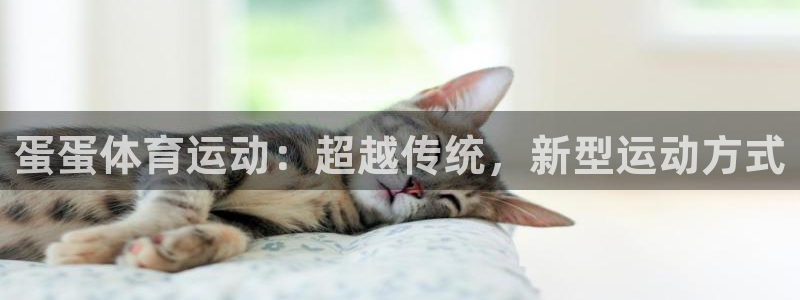 意昂3平台注册：蛋蛋体育运动：超越传统，新型运动方式