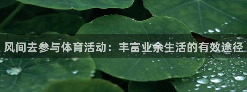 意昂2登录：风间去参与体育活动：丰富业余生活的有效途径