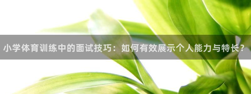 意昂f凯捷平台在线注册：小学体育训练中的面试技巧：如何有效展示个人能力与特长？