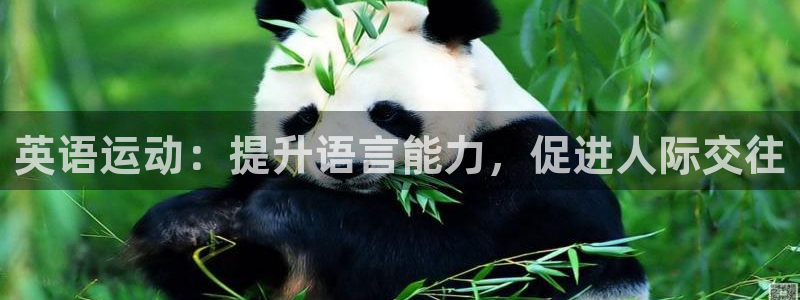 意昂3官网登录：英语运动：提升语言能力，促进人际交往