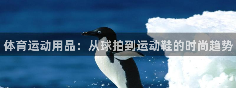 意昂体育官网：体育运动用品：从球拍到运动鞋的时尚趋势