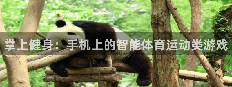意昂平台主管：掌上健身：手机上的智能体育运动类游戏
