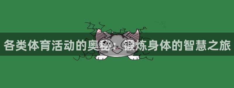 成都意昂电子有限公司：各类体育活动的奥秘：锻炼身体的智慧之旅