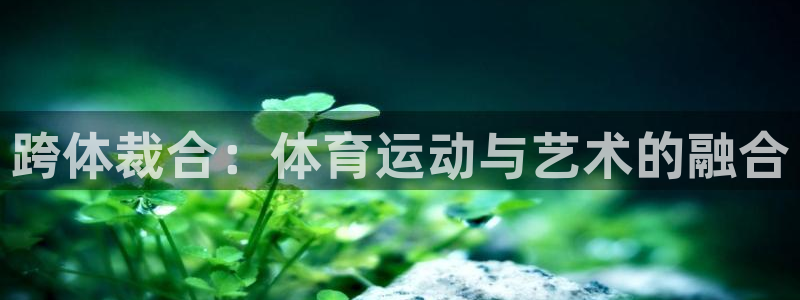 意昂登录：跨体裁合：体育运动与艺术的融合