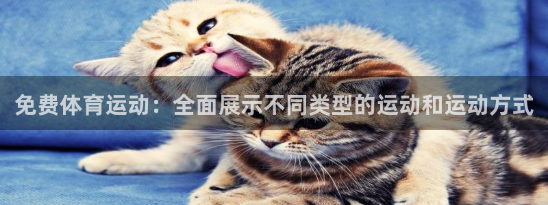 意昂代理：免费体育运动：全面展示不同类型的运动和运动方式