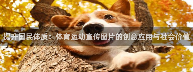 意昂平台主管：提升国民体质：体育运动宣传图片的创意应用与社会价值