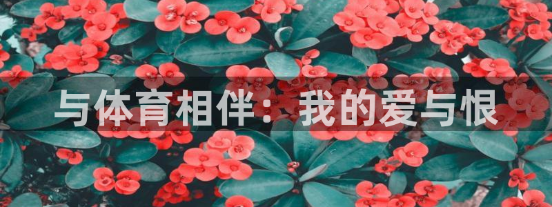 意昂3平台登录注册：与体育相伴：我的爱与恨